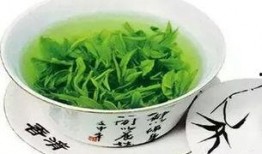 绿茶成精吃瓜,一场奇幻的跨界之旅