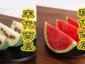 本土吃瓜,揭秘民间趣味与社交现象