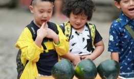 体验萌娃吃瓜,一场甜蜜的味蕾之旅