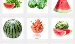 夏日吃瓜背景图,瓜果飘香——探寻夏日吃瓜的清凉时光