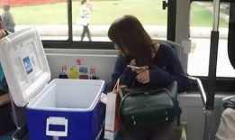 吃瓜公交,揭秘公交车上那些令人捧腹的趣事