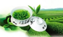 绿茶成精吃瓜,一场奇幻的跨界之旅