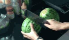 吃瓜大赛动图