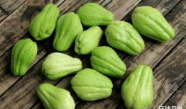 长寿瓜怎么炒着吃,家常美味，健康养生两不误