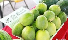 雪梨瓜可以直接吃吗,可直接食用的清新佳果