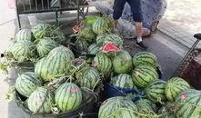 宿迁校园吃瓜事件,揭秘校园网络暴力的阴影面