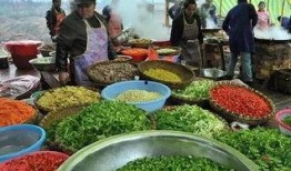 临沭北山吃瓜,瓜果飘香，品味田园生活