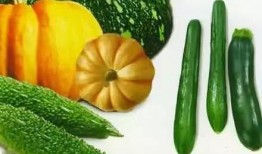 陪玩吃瓜,揭秘电竞圈幕后故事