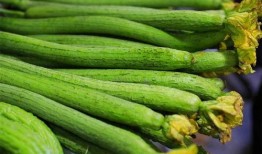 嫩小瓜怎么吃,探索美味与营养的完美结合