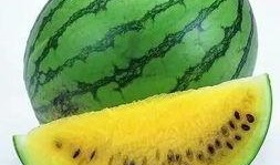 走路吃捎瓜,走路吃捎瓜的悠闲时光