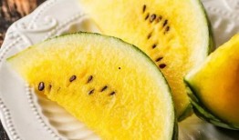 helens 吃瓜,Helen的“吃瓜”之旅，带你领略娱乐圈的酸甜苦辣