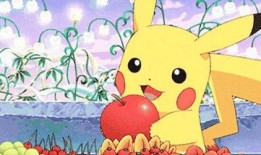 夏末理性吃瓜,理性吃瓜指南