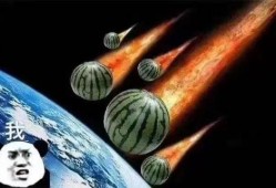 飞飞直播吃瓜,瓜田里的欢乐盛宴