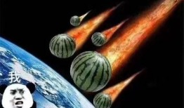 飞飞直播吃瓜,瓜田里的欢乐盛宴