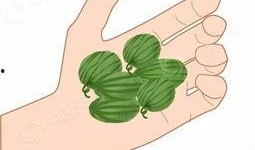 吃瓜图的繁体,趣味横生的网络文化现象