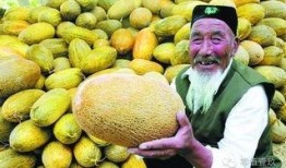 老人吃哈密瓜出汗,老人吃哈密瓜出汗的奇妙体验