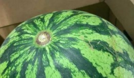 卖瓜吃瓜微信头像,卖瓜吃瓜的微信头像背后的故事