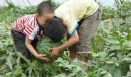 宿迁校园吃瓜事件,揭秘校园网络暴力的阴影面