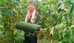 劲爆吃瓜bgm,揭秘娱乐圈幕后真相！