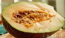 吃哈密瓜照,哈密瓜映照下的夏日美味时光