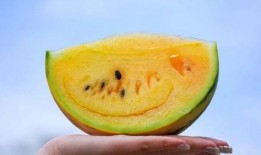 小滕同学吃瓜精彩