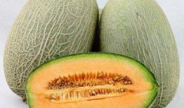常吃哈密瓜有哪些功效,健康生活新选择