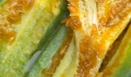 视频吃瓜黄料,一场网络狂欢背后的真相