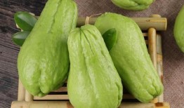 佛手瓜炒怎么吃,家常美味轻松享