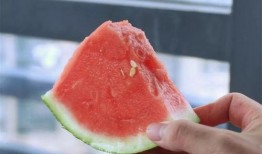 天皇秀吃瓜,揭秘宫廷中的吃瓜群众