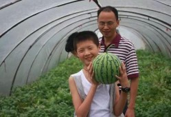 泥巴吃瓜,揭秘网络热词背后的文化现象