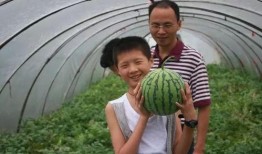 泥巴吃瓜,揭秘网络热词背后的文化现象