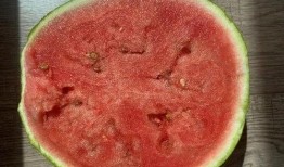 麻包瓜如何晒干吃,传统美食新体验