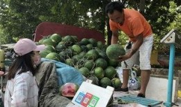 济宁吃瓜杨,揭秘当地特色美食背后的故事