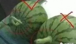 二师吃瓜,揭秘校园热点事件背后的真相