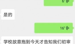 请你吃瓜txt,探寻请你吃瓜txt背后的故事与魅力