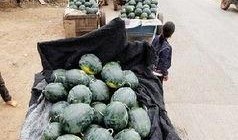 宿迁校园吃瓜事件,揭秘校园网络暴力的阴影面