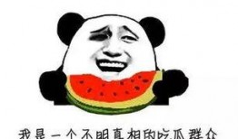 调侃吃大瓜,揭秘娱乐圈那些“大瓜”背后的故事