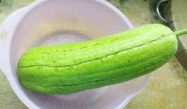 长水瓜怎么吃,探索美味与健康的完美结合