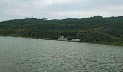 神女湖吃瓜,一场吃瓜盛宴背后的故事