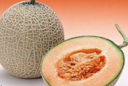 吃哈密瓜吃脱臼了,吃瓜脱臼惊魂记