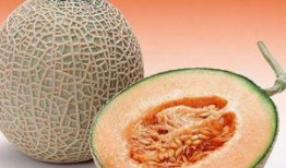 吃哈密瓜吃脱臼了,吃瓜脱臼惊魂记