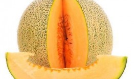 肾阳虚吃哈密瓜,哈密瓜的养生之道