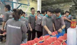 吃瓜配送员,吃瓜配送员的奇妙旅程