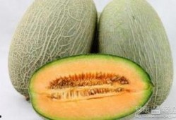 吃哈密瓜和可乐会怎么样,揭秘食用后的神奇效果