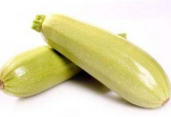 怀孕可以吃角瓜,角瓜助力健康孕育之旅