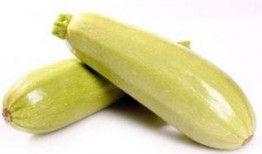 怀孕可以吃角瓜,角瓜助力健康孕育之旅