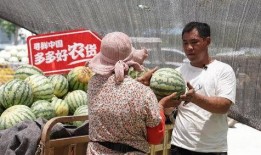 阿福在农村吃瓜,瓜果飘香里的欢乐时光