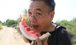 带你吃瓜奇葩彩虹,吃瓜群众的奇葩彩虹人生