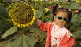 梦见摘人家瓜吃,揭秘摘瓜吃瓜的神秘寓意