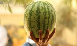 什么叫吃瓜事件,从娱乐八卦到社会事件的全民围观